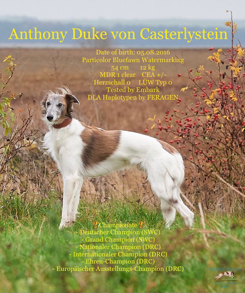 Steckbrief_Duke