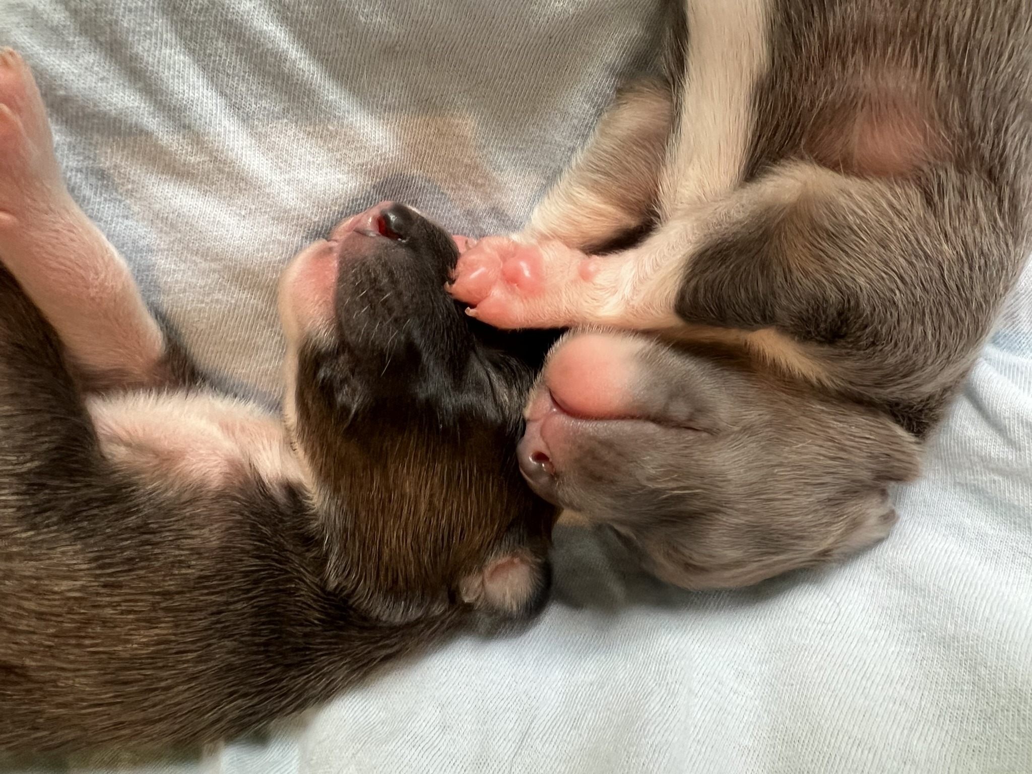 Schmusen 2