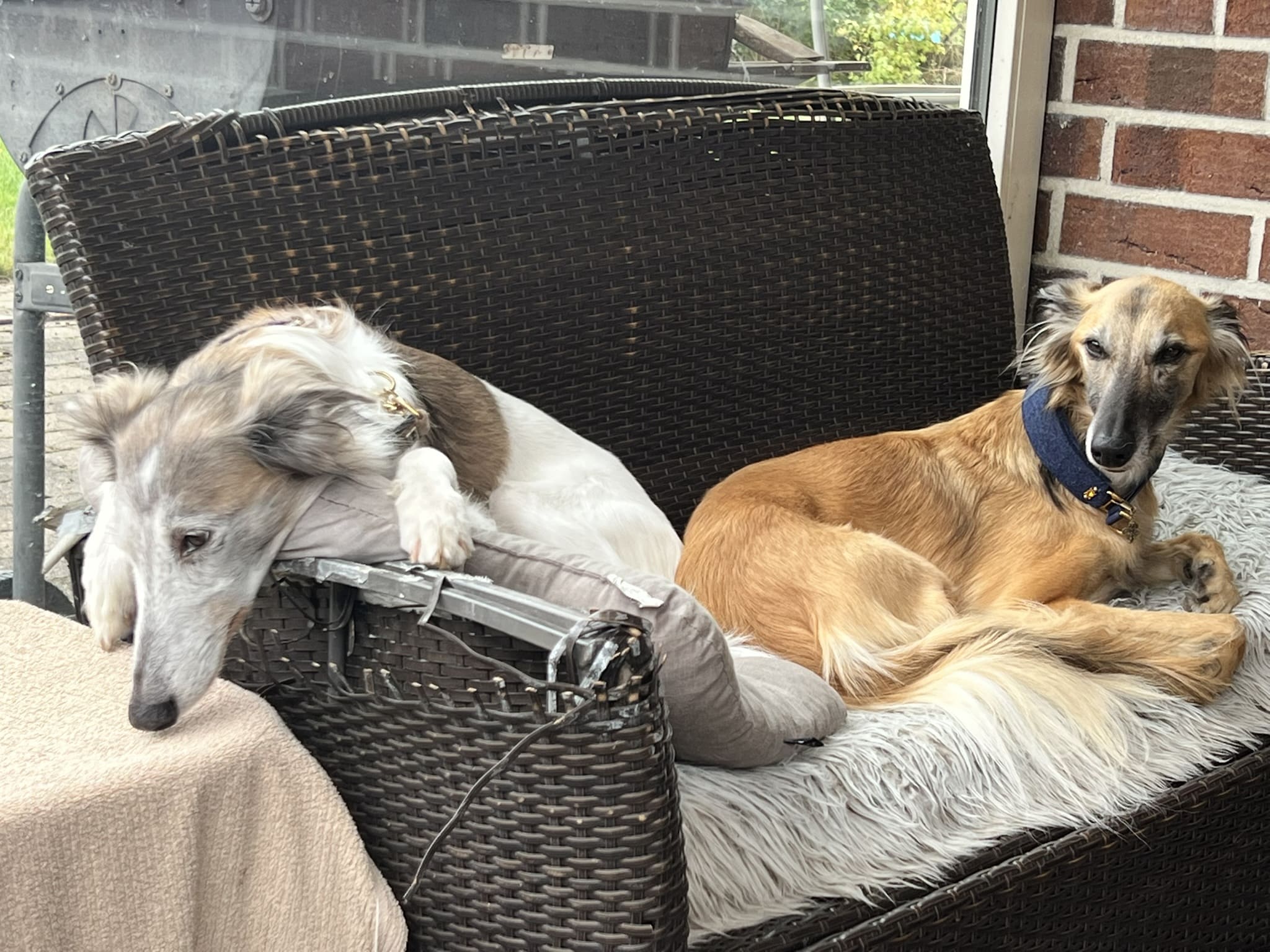 Papa Duke und Onkel Flame