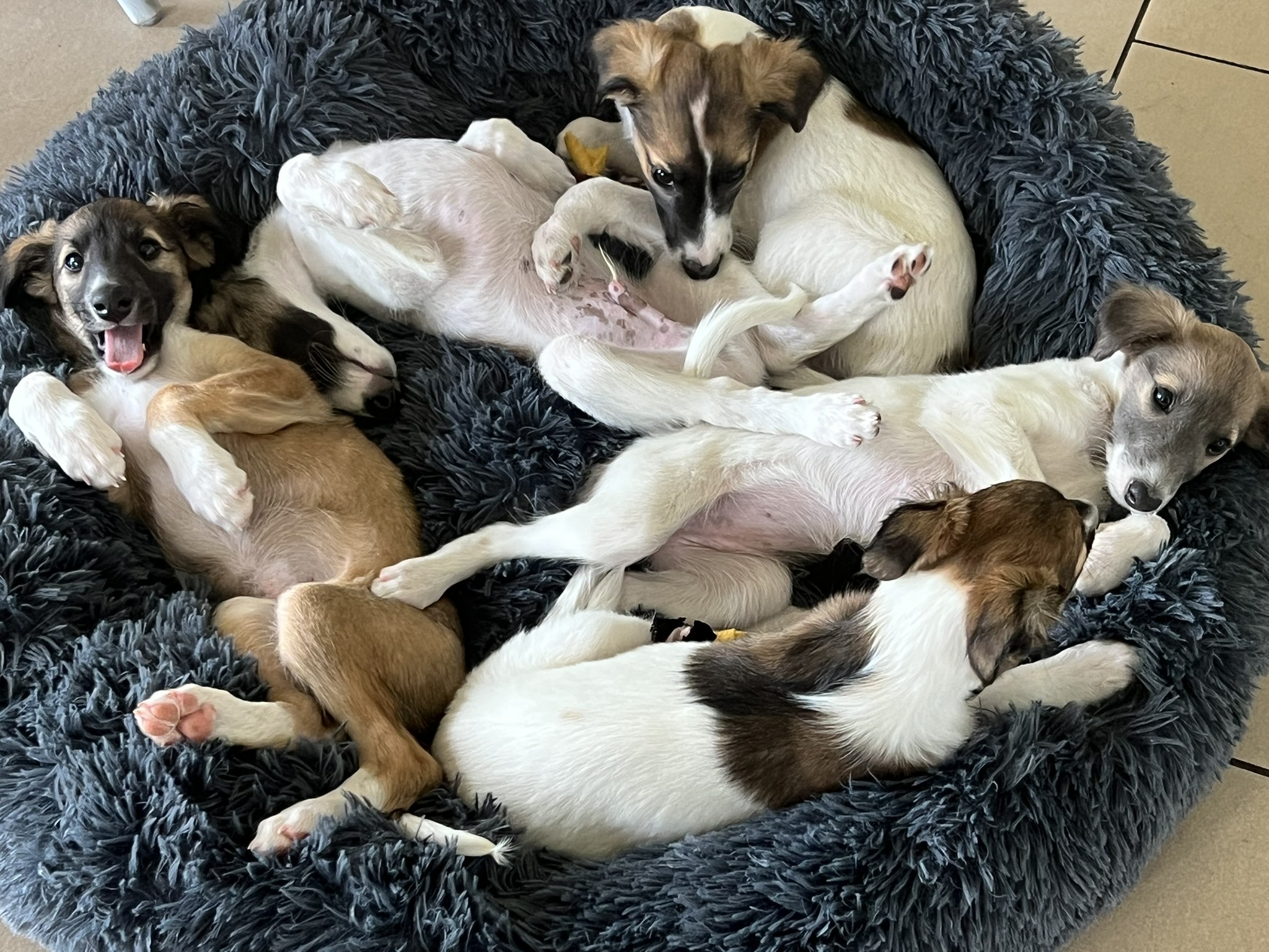 Alle haben bestanden